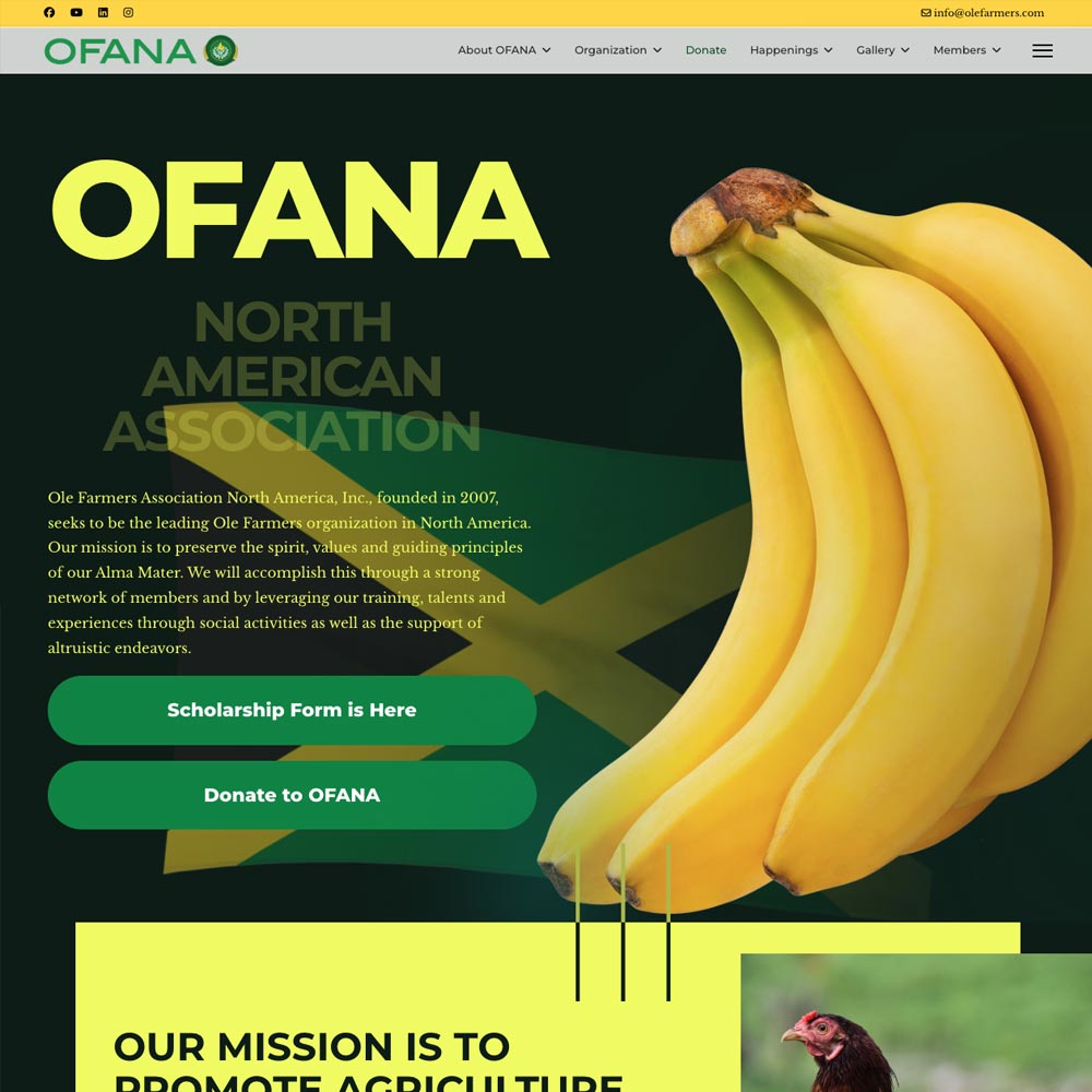 Dynamic Content Image