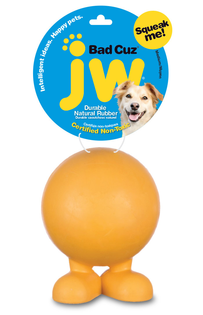 Dynamic Content Image